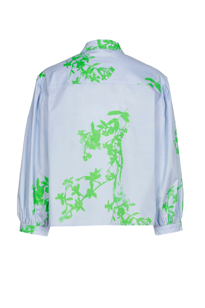 Lichtblauwe bloes met groene bloemen